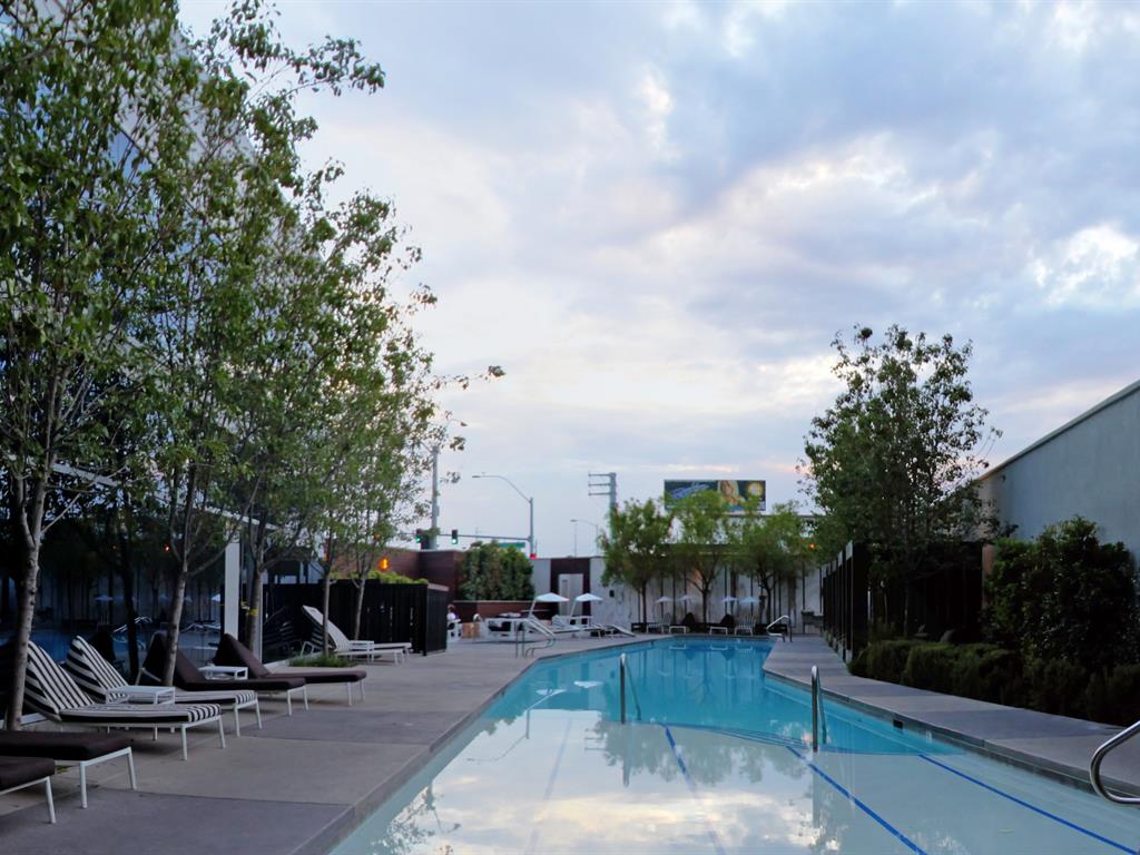 The-Martin-Condos-Pool-Area